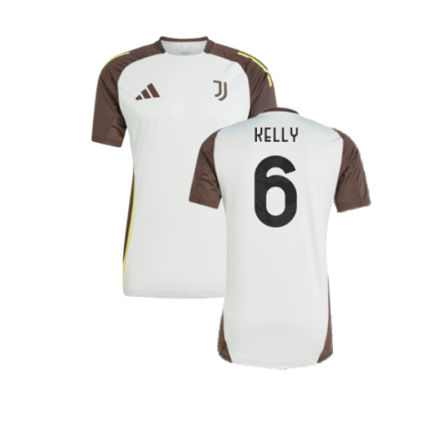 2024-2025 Juventus EU Training Jersey (Silver) (Kelly 6)