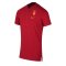 2020-2021 Galatasaray Authentic Polo Shirt (Red)