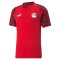 2022-2023 Egypt Pre-Match Jersey (Red)