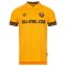 2022-2023 Dynamo Dresden Home Shirt