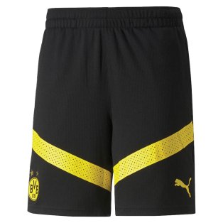 2022-2023 Borussia Dortmund Training Shorts (Black)