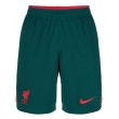 2022-2023 Liverpool Third Shorts (Teal)