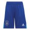 2022-2023 Germany Home Goalkeeper Shorts (Blue) - Kids
