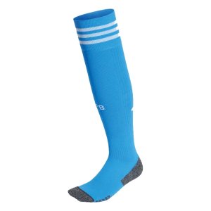2022-2023 Germany Home Goalkeeper Socks (Blue)