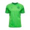 2022-2023 Denmark Home Goalkeeper Shirt (Green) - Kids