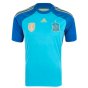 2014-2015 Spain Home Goalkeeper Shirt (Blue)
