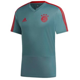2022-2023 Bayern Munich Training Shirt (Raw Green)