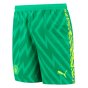 2023-2024 Man City Home Goalkeeper Shorts (Green)