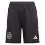 2023-2024 Bayern Munich Goalkeeper Shorts (Black) - Kids