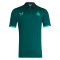 2023-2024 Newcastle Players Travel Polo Shirt (Ponderosa Pine)