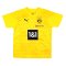 2023-2024 Borussia Dortmund Training Jersey (Yellow) - Kids