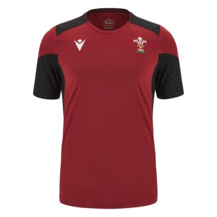 2023-2024 Wales Rugby Training Gym T-Shirt (Red)