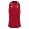 2023-2024 Wales Rugby Basketball Singlet (Red)