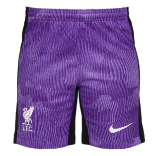 2023-2024 Liverpool Third Football Shorts (Kids)