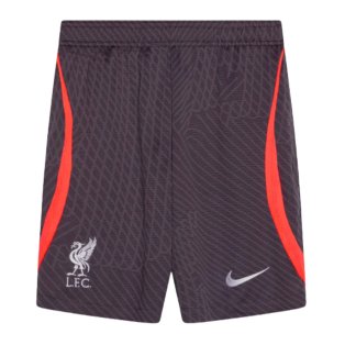 2023-2024 Liverpool Strike Training Shorts (Gridiron)
