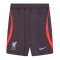 2023-2024 Liverpool Strike Training Shorts (Gridiron) - Kids