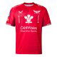 Rugby Shirts