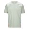 2023 Alpine Mens T-Shirt (Light Grey)