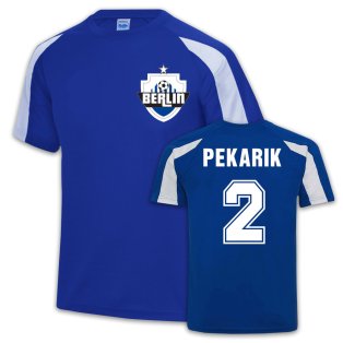 Hertha Berlin Sports Training Jersey (Peter Pakarik 2)