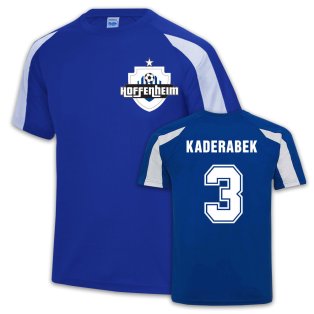 Hoffenheim Sports Training Jersey (Pavel Kaderabek 3)
