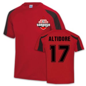 Toronto Sports Training Jersey (Jozy Altidore 17)