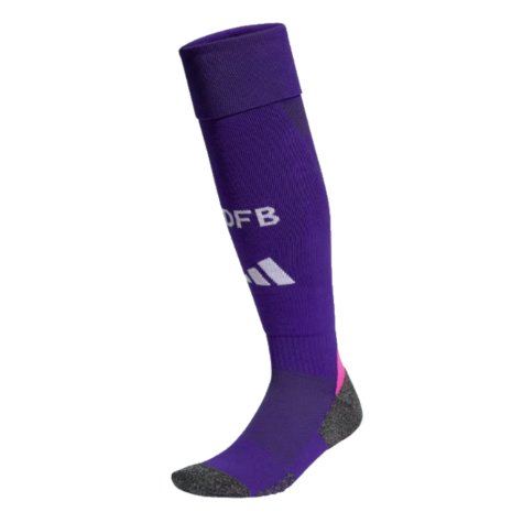 2024-2025 Germany Away Socks (Purple)