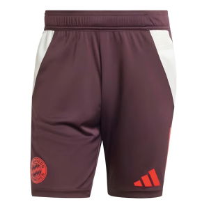 2024-2025 Bayern Munich Training Shorts (Shadow Maroon)