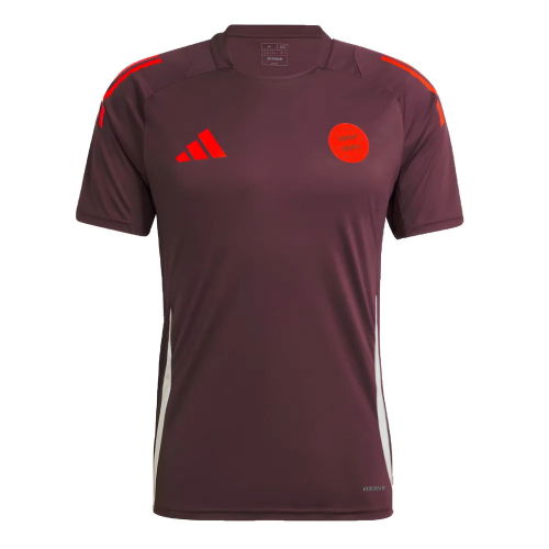 2024-2025 Bayern Munich Training Tee (Shadow Maroon)