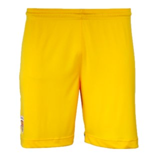 2024-2025 Romania Home Shorts (Yellow)