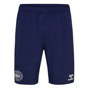 2024-2025 Denmark Training Shorts (Marine)