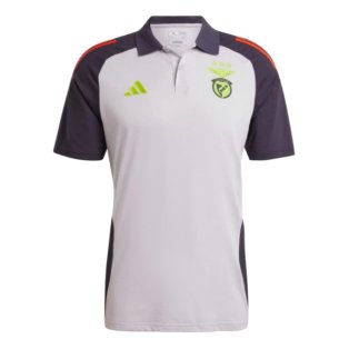 2024-2025 Benfica Polo Shirt (Grey)