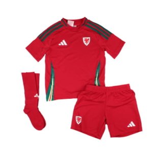 2024-2025 Wales Home Mini Kit