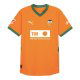 Third Shirts
