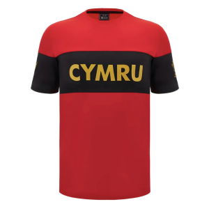 2024-2025 Wales Rugby Leisure T-Shirt (Red) - Kids