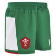 2024-2025 Wales Rugby Away Shorts (Green)