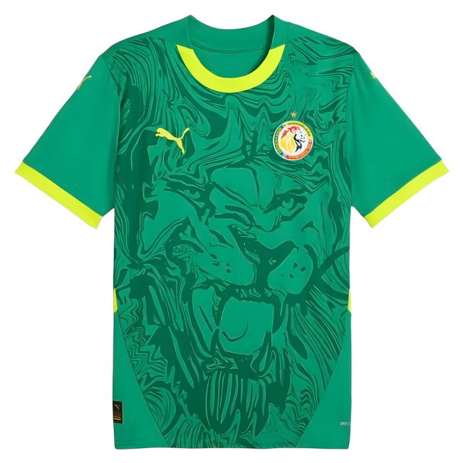 2024-2025 Senegal Away Shirt