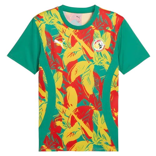 2024-2025 Senegal Prematch SS Jersey (Green)