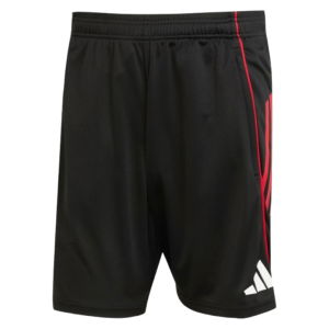 2025-2026 Ajax Training Shorts (Black)