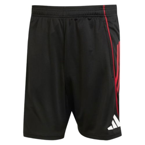 2025-2026 Ajax Training Shorts (Black)