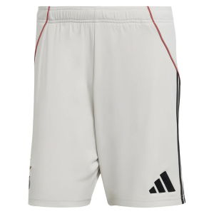 2025-2026 Benfica Away Shorts (Wonder Alumina)