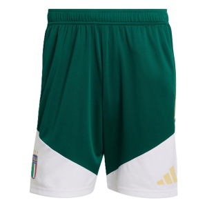 2026-2027 Italy Training Shorts (Green)