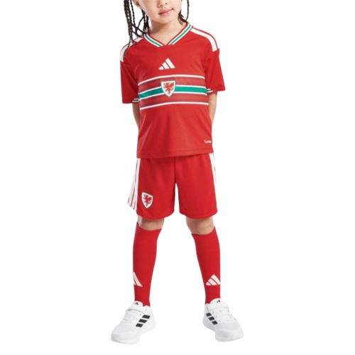 2026-2027 Wales Home Mini Kit