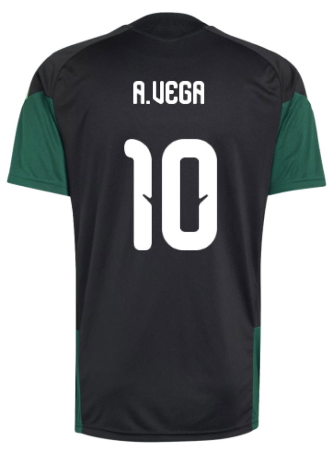 2026-2027 Mexico Training Jersey (Black) (A.Vega 10)