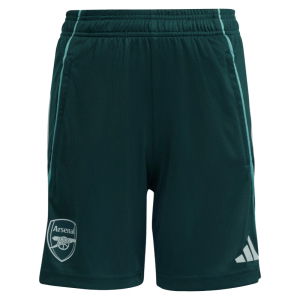 2025-2026 Arsenal Training Shorts (Aurora Ivy) - Kids