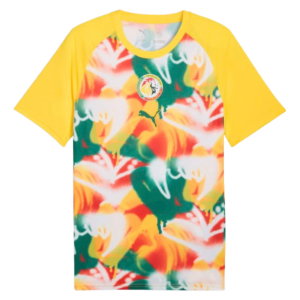 2026-2027 Senegal Warm Up Jersey (Yellow)