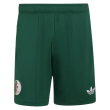 2026-2027 Algeria Away Shorts (Green)
