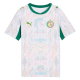 Home Shirts