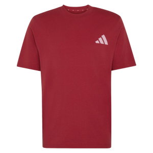 2026-2027 Liverpool Seasonal Graphic Tee (Active Maroon)