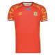 Third Shirts