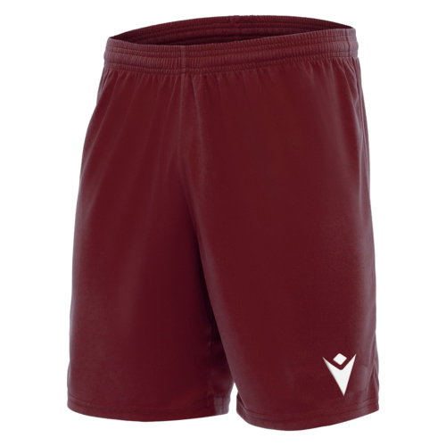 Mesa Hero Shorts (Purple)